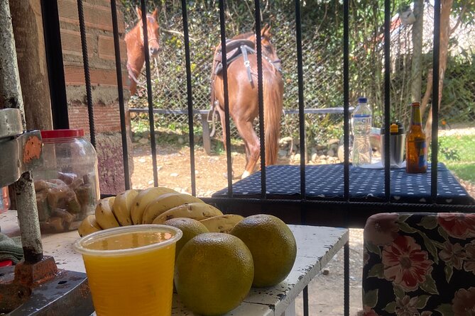 Scenic Horseback Riding in the Medellín Mountains - Guides who keep beginners comfortable