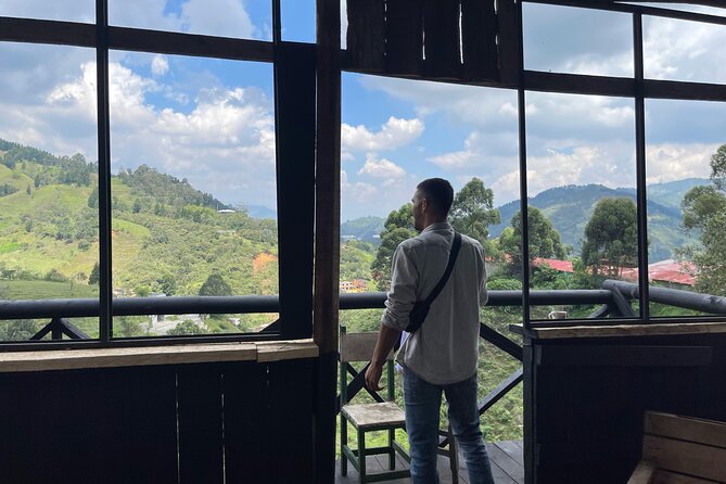Scenic Horseback Riding in the Medellín Mountains - Riding through pine forest, farms, and streams