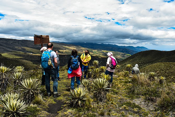 Sumapaz Páramo Private Hike Tour - Walking the Sumapaz trails