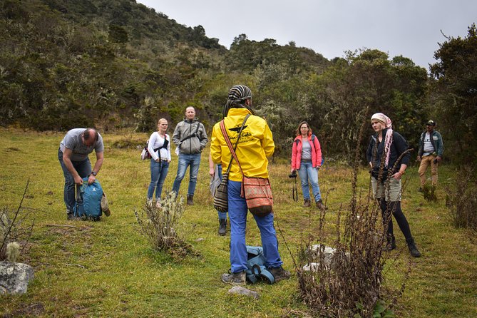 Sumapaz Páramo Private Hike Tour - Why the páramo feels so different