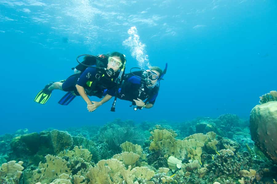 Tayrona National Park: Scuba Diving Tour for Beginners - Seeing Tayrona from below the surface