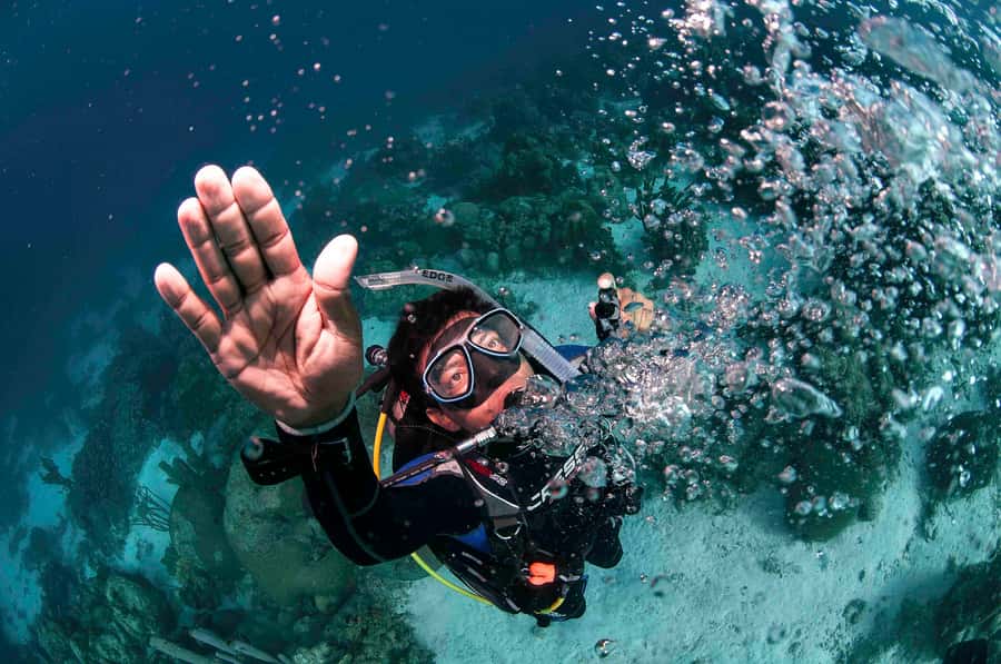Tayrona National Park: Scuba Diving Tour for Beginners - Is $138 a fair price?