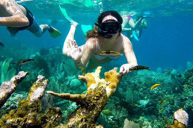 Tour of the Rosario Islands, Cartagena - Isla Grande and the first snorkel stop