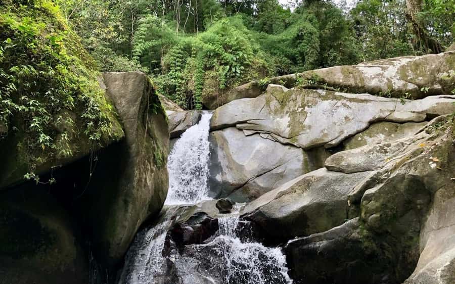Trekking History and Indigenous Heritage in Minca + Cacao & Coffee + Waterfall - Key points to know before you go
