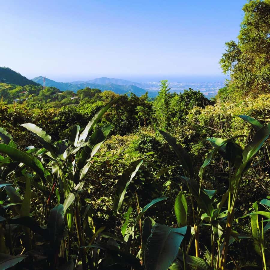 Trekking History and Indigenous Heritage in Minca + Cacao & Coffee + Waterfall - Weather, timing, and practical limits