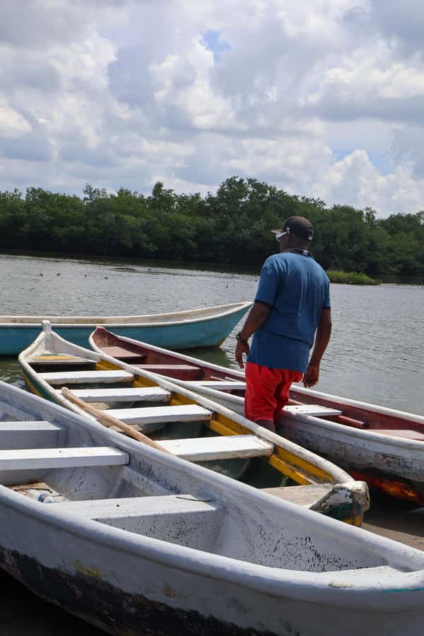 Typical lunch on beach, mangrove tour & fishing with natives - Who should book this experience