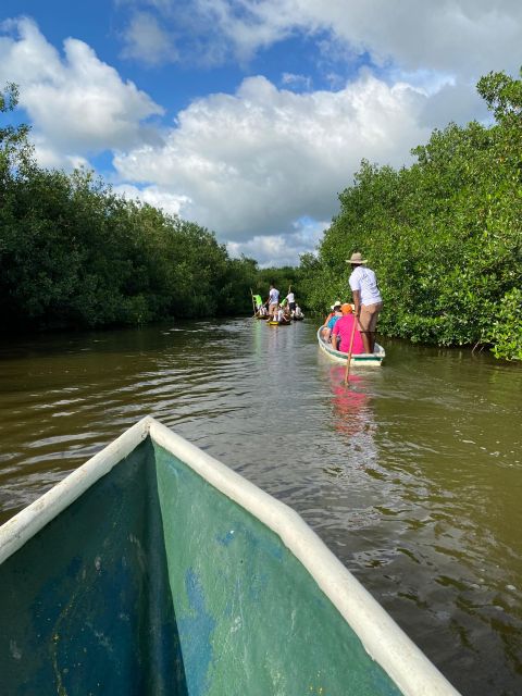 Typical lunch on beach, mangrove tour & fishing with natives - Cruise passengers need extra planning