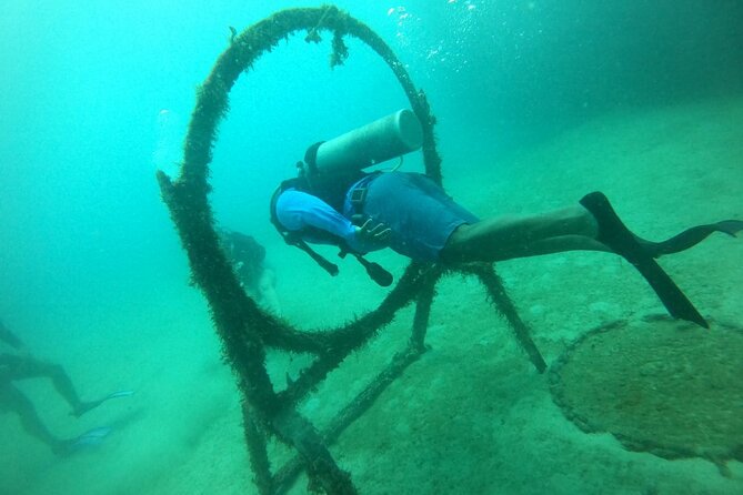 Under a sea of adventures, unforgettable diving. - From Cartagena’s old city to the open water
