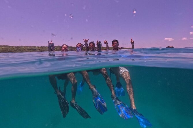 Under a sea of adventures, unforgettable diving. - Seeing coral reefs with a guide beside you