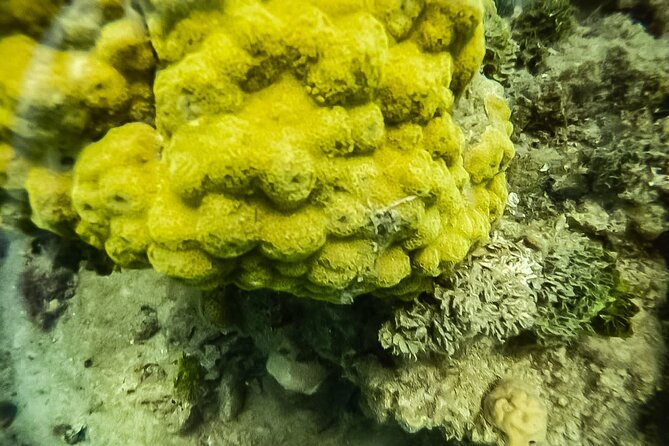 Under a sea of adventures, unforgettable diving. - A real lesson before you enter the sea