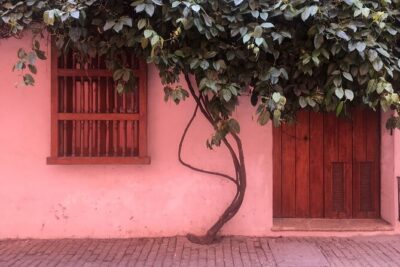 Walking Tour Cartagena Old City with Gold Museum and Plaza de Bolivar