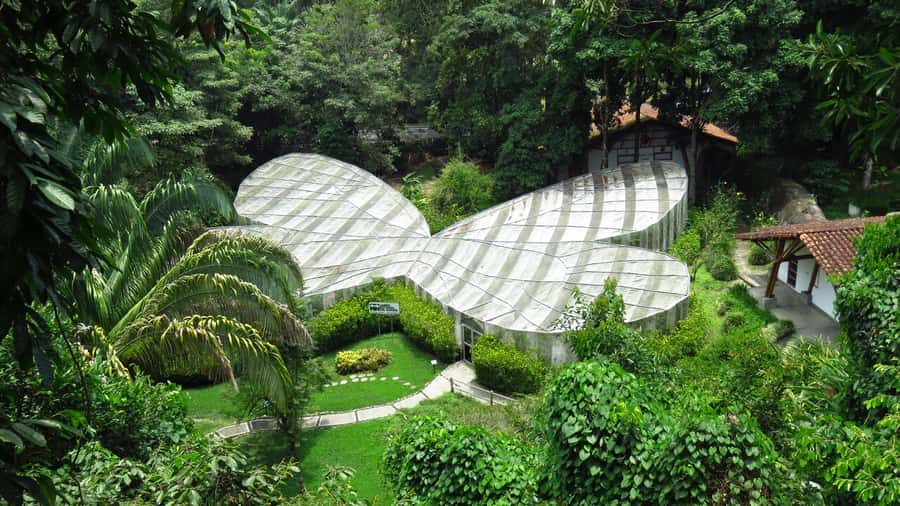 Walking tour José Celestino Mutis Botanical Garden 3 hrs - Following the two-hour guided route